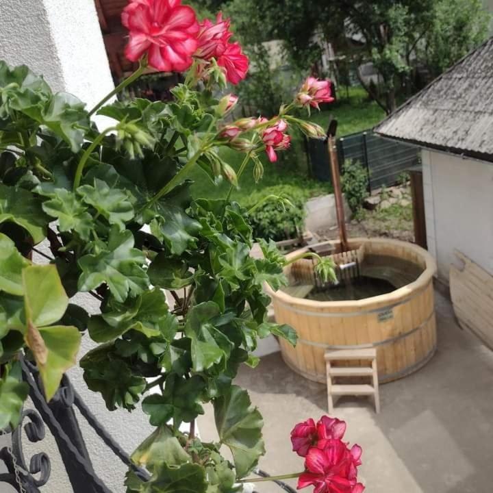 Popasul Calatorului Hotel Моисей Екстериор снимка
